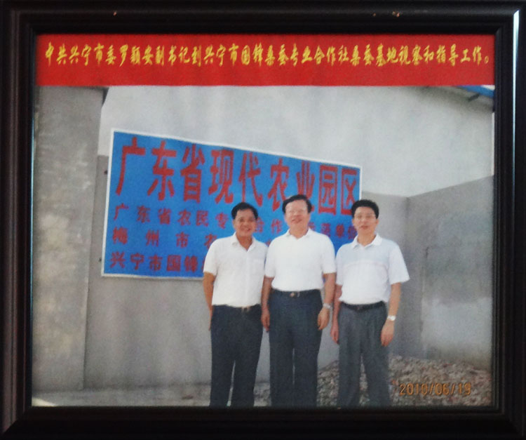 中共兴宁市委罗颖安副书记到兴宁国锋桑蚕专业合作社指导工作