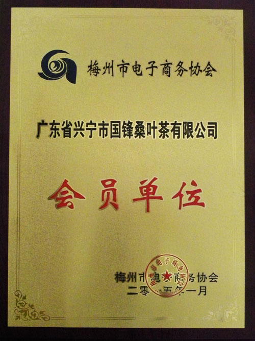 梅州市电子商务协会会员单位